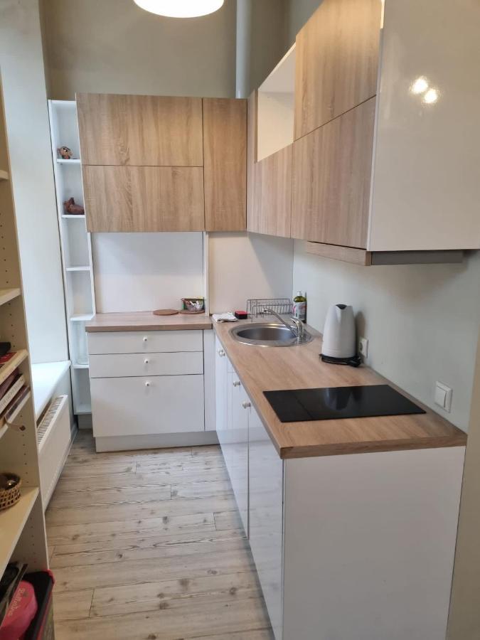 Igo Apartment Uzupis Vilnius Luaran gambar